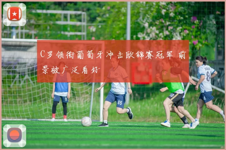 C罗领衔葡萄牙冲击欧锦赛冠军 前景被广泛看好