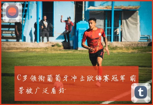 C罗领衔葡萄牙冲击欧锦赛冠军 前景被广泛看好