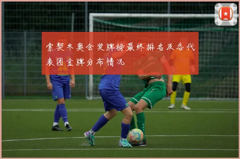 索契冬奥会奖牌榜最终排名及各代表团金牌分布情况