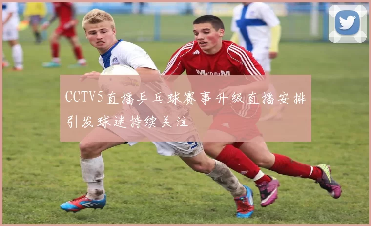 CCTV5直播乒乓球赛事升级直播安排引发球迷持续关注