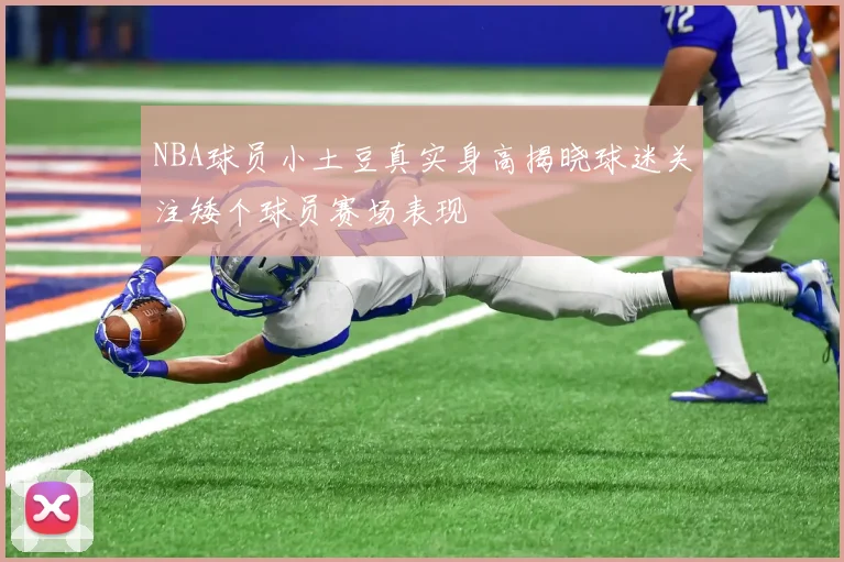 NBA球员小土豆真实身高揭晓球迷关注矮个球员赛场表现