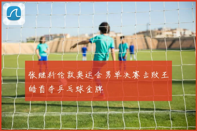 张继科伦敦奥运会男单决赛击败王皓首夺乒乓球金牌