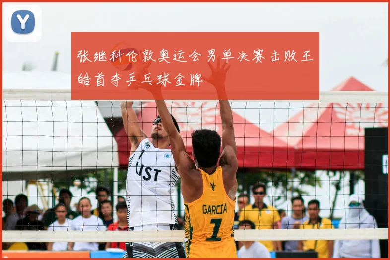 张继科伦敦奥运会男单决赛击败王皓首夺乒乓球金牌