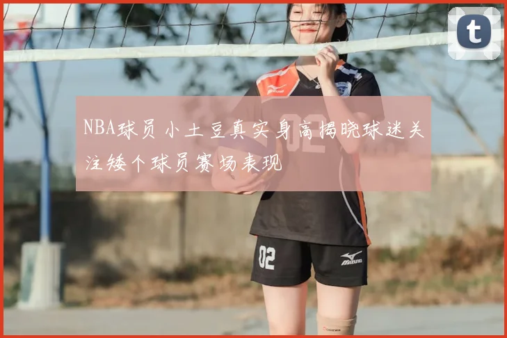 NBA球员小土豆真实身高揭晓球迷关注矮个球员赛场表现
