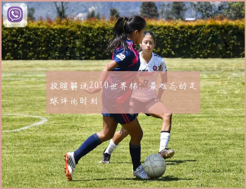 段暄解说2010世界杯：最难忘的足球评论时刻