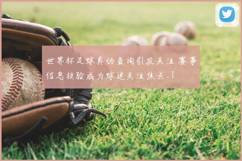 世界杯足球真伪查询引发关注 赛事信息核验成为球迷关注焦点_1